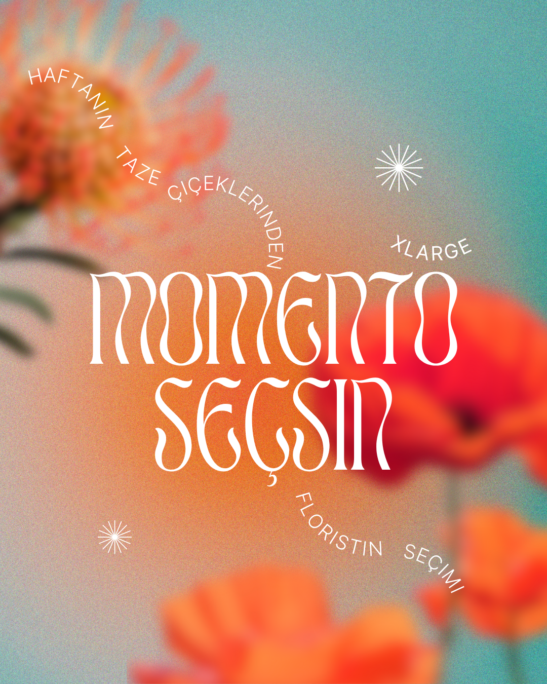 Momento Seçsin – XL Boy