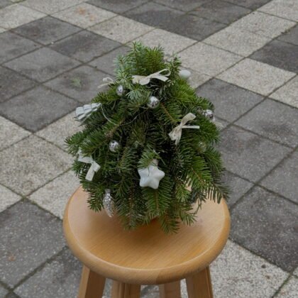Mini Winter Tree